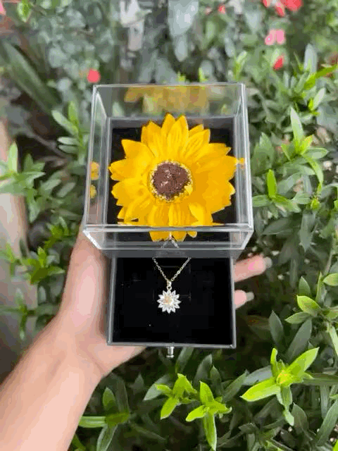 Porta Joias de Girassol com Colar Personalizado 18K