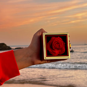 Caixa Rosa Eterna e Colar Personalizado Duogift